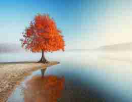 大​数​据‌分‍析​工​具​软‌件​